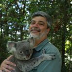  Travis Koala, Australia Zoo, Australia.1